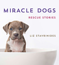 MiracleDogsCover